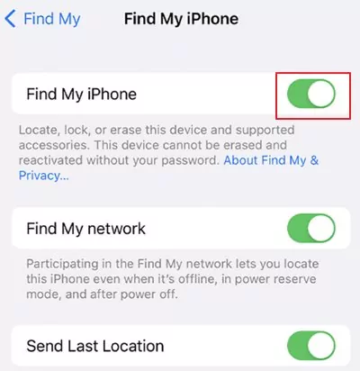 ensure Find My iPhone is on