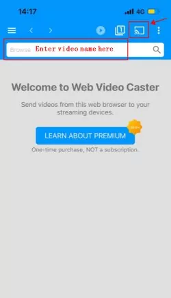 web video caster 