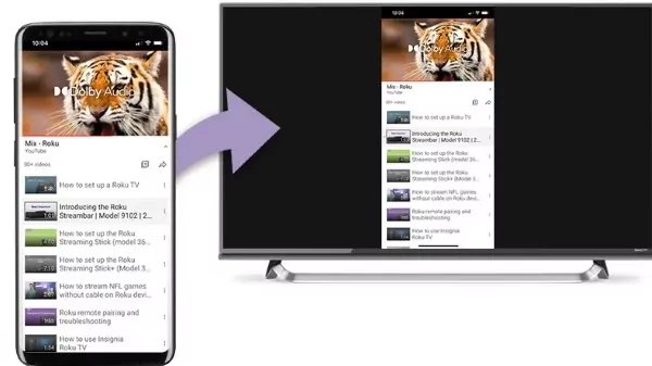 TV Cast for Roku - Apps on Google Play