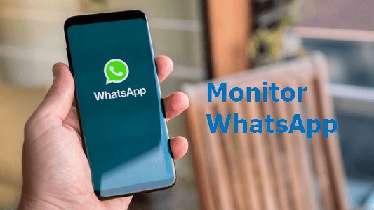 whatsapp monitoring online without install on device