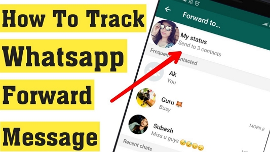 track forwarded messages on WhatsApp