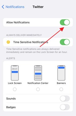 allow Twitter notifications on iPhone