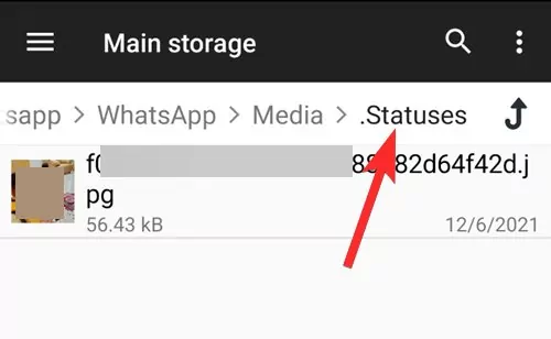 WhatsApp Statuses folder