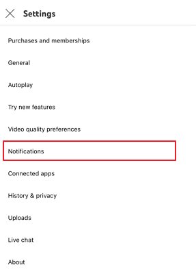 check Youtube in-app notification settings