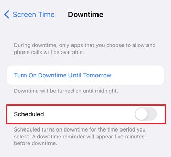 turn on downtime feature