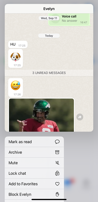 previsualizar mensajes de WhatsApp en iPhone