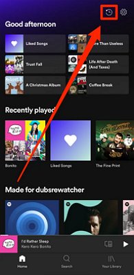 see Spotify listening history on iPhone