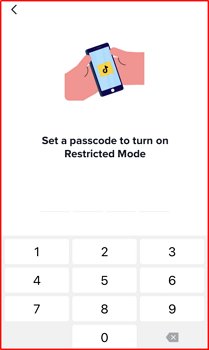 set a passcode