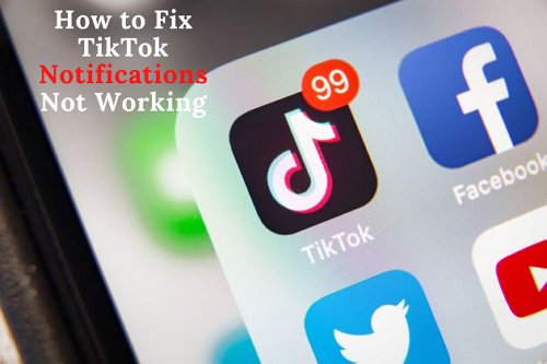 TikTok notifications not working