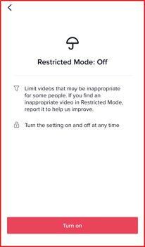turn on restricted mode