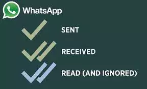WhatsApp check marks