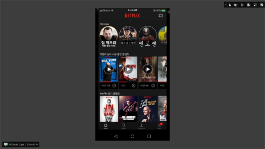 entreprenør Falde tilbage Jeg spiser morgenmad 2023]How to Chromecast Netflix from Phone to TV – AirDroid
