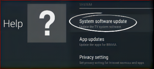 Elegir Actualizar software del sistema