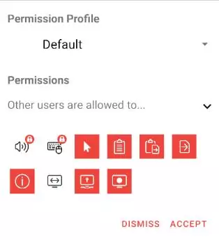 AnyDesk permission request