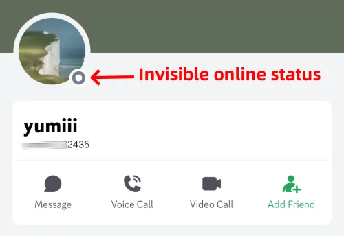 Discord invisible online status