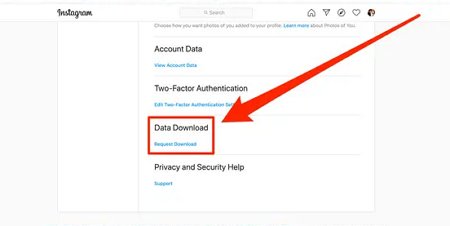 download Instagram data on web