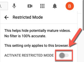 enable Restricted Mode on YouTube from browser
