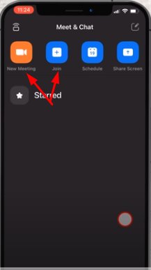 share screen zoom phone