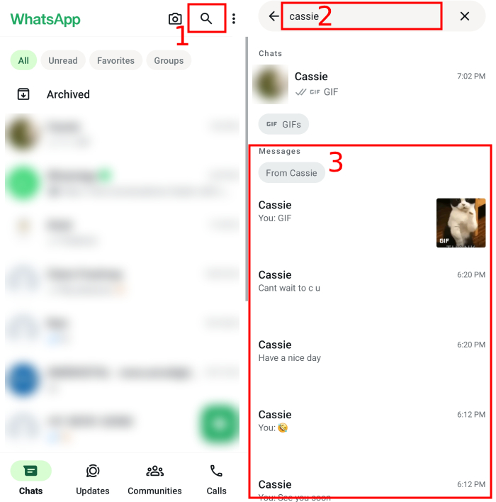 see someone WhatsApp messages from search results without them knowing