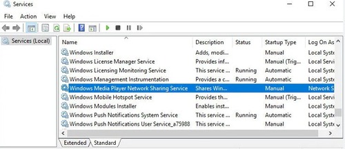 Windows Media Sharing Service