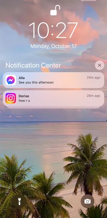 see old Instagram notifications from notification center