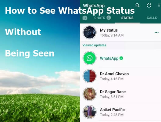 How To Setup Auto Status View On WhatsApp - Olasteve