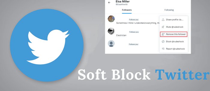 soft block Twitter