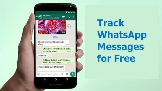 track WhatsApp messages for free
