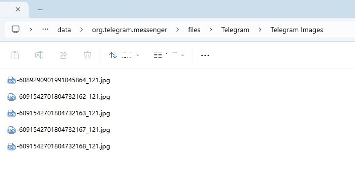 visualizza messaggi Telegram eliminati tramite cartella immagini su PC