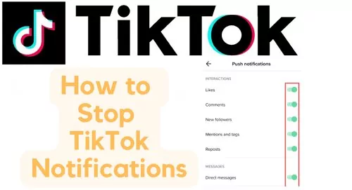 stop TikTok notifications