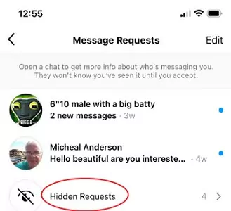 Instagram hidden requests