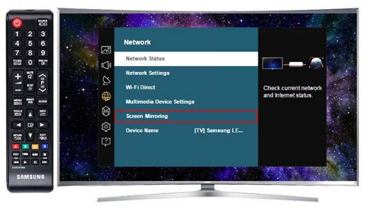 screen mirroring in the network setting