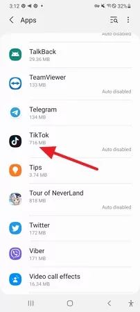 select the TikTok app