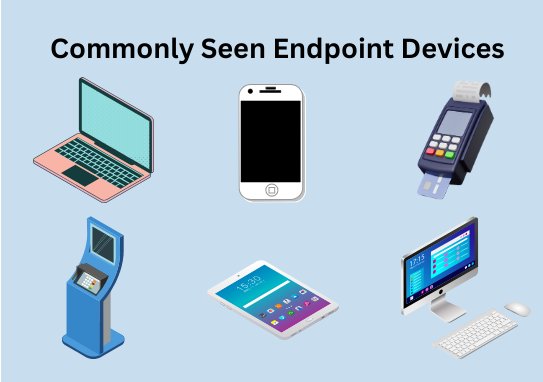 Commonly seen endpoint devices