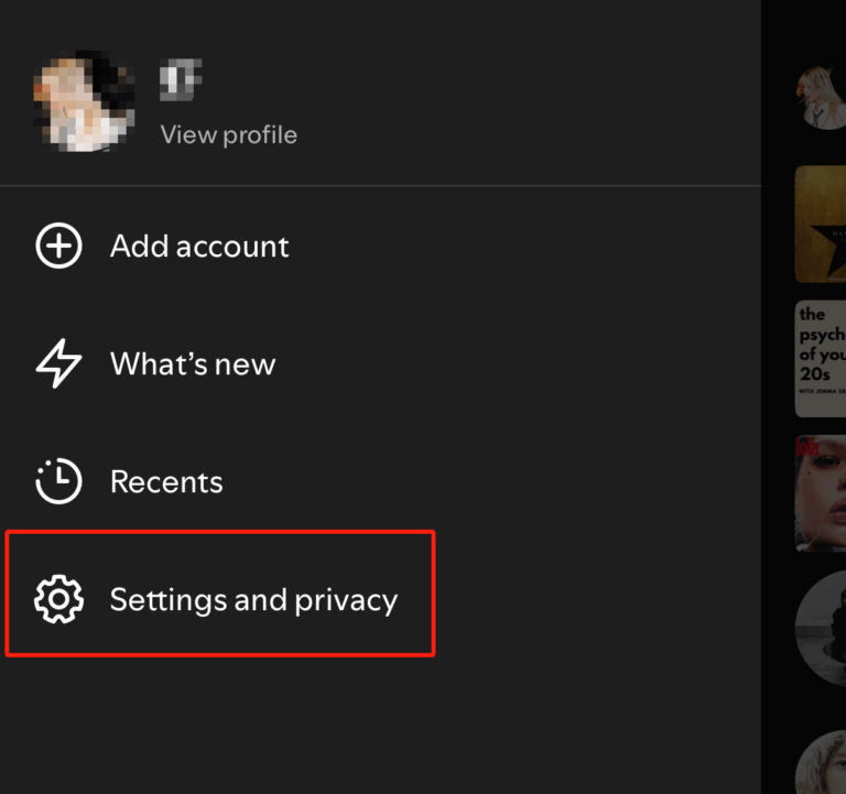Turn On Offline Mode on Spotify