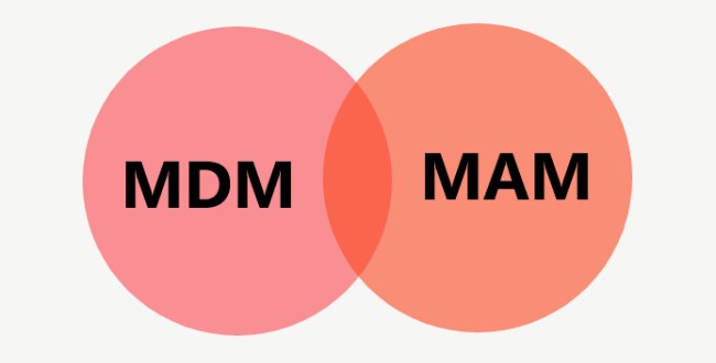 mam vs mdm