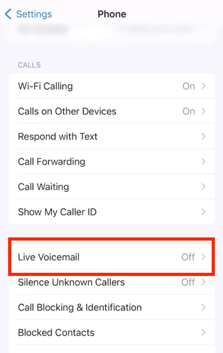 live voicemail