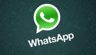 whatsapp-bluestacks