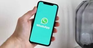 descargar video de whatsapp