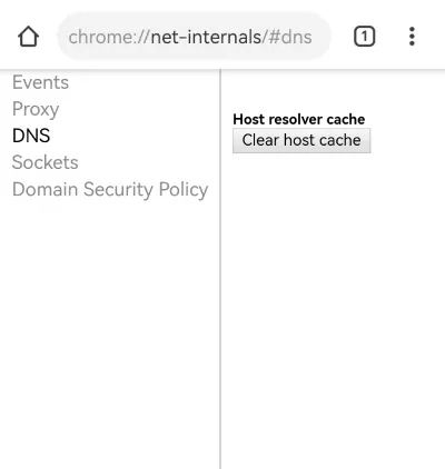 delete Chrome incognito history on Android phone