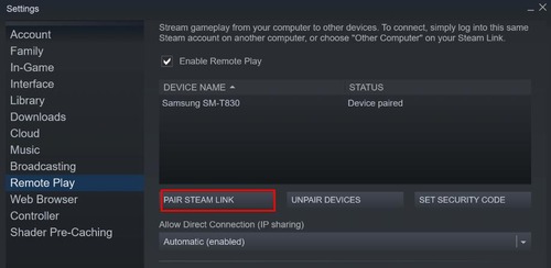 Steam Remote Play