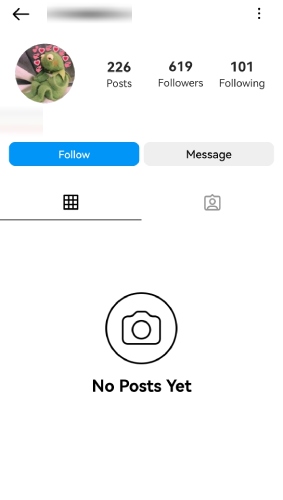 Instagram no post