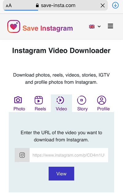 online instagram video downloader