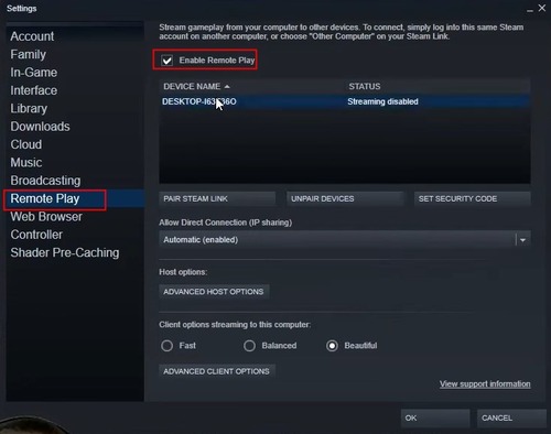 enable Remote Play in Steam