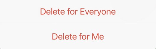 delete for everyone feature