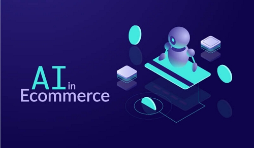E-commerce Assistance