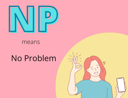 np meaning