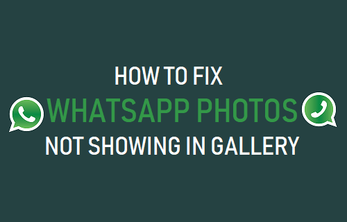 fix whatsapp photos not showing in gallery