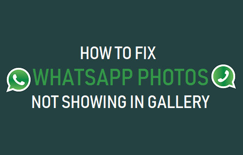 Behebe, dass WhatsApp-Bilder nicht in Galerie angezeigt werden
