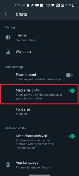 WhatsApp-Medienpräsenz